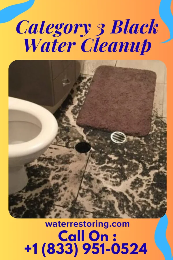 Category 3 Black Water Cleanup in Thomaston, AL