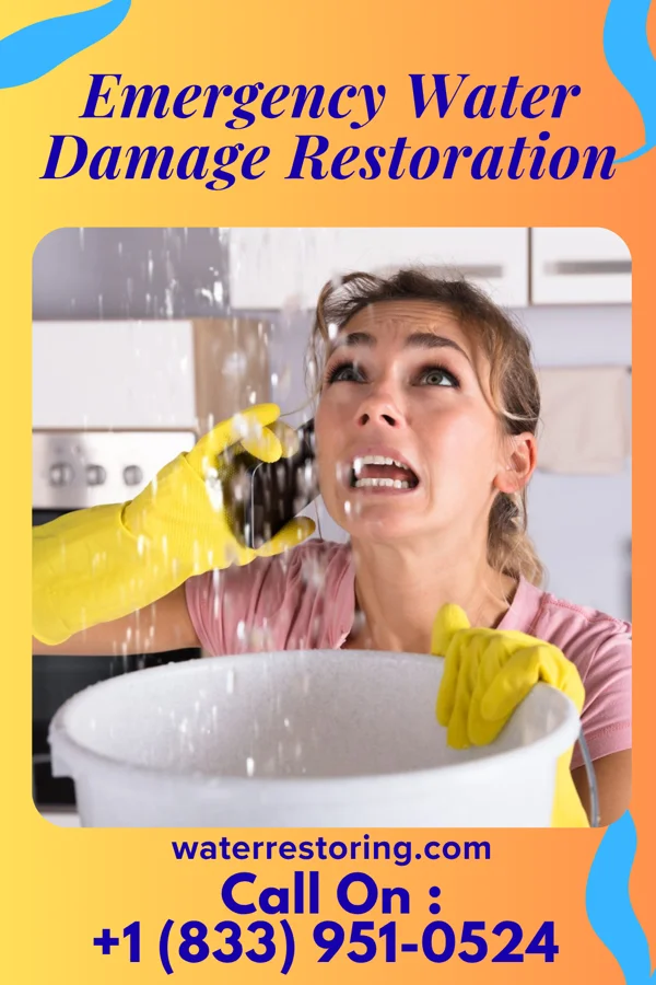 Emergency Water Damage Restoration in Thomaston, AL
